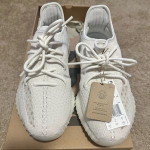 Adidas Yeezy Boost 350 V2 Bone HQ6316